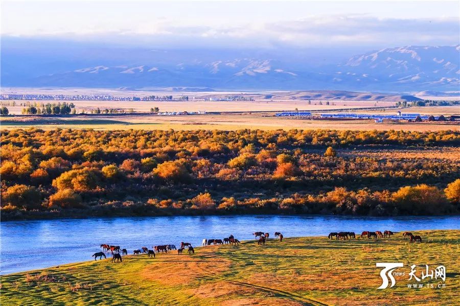 梦想启航之地,新疆,自信疆域