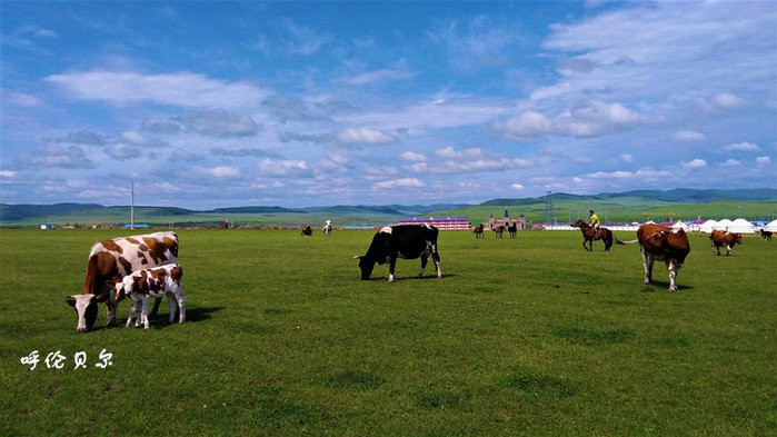 呼伦贝尔，草原生态之旅与美丽风光体验