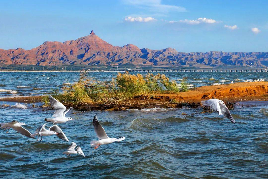 乌海,浪漫邂逅大自然的乌海之旅